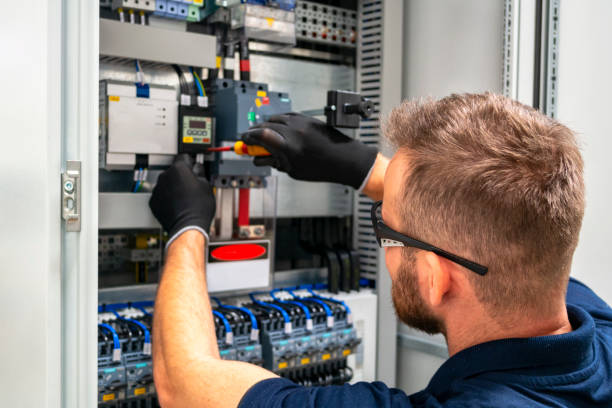 Best Electric Panel Repair  in Cayuga, IN