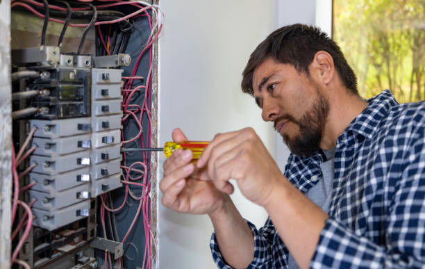 Best Generator Installation Services  in Cayuga, IN